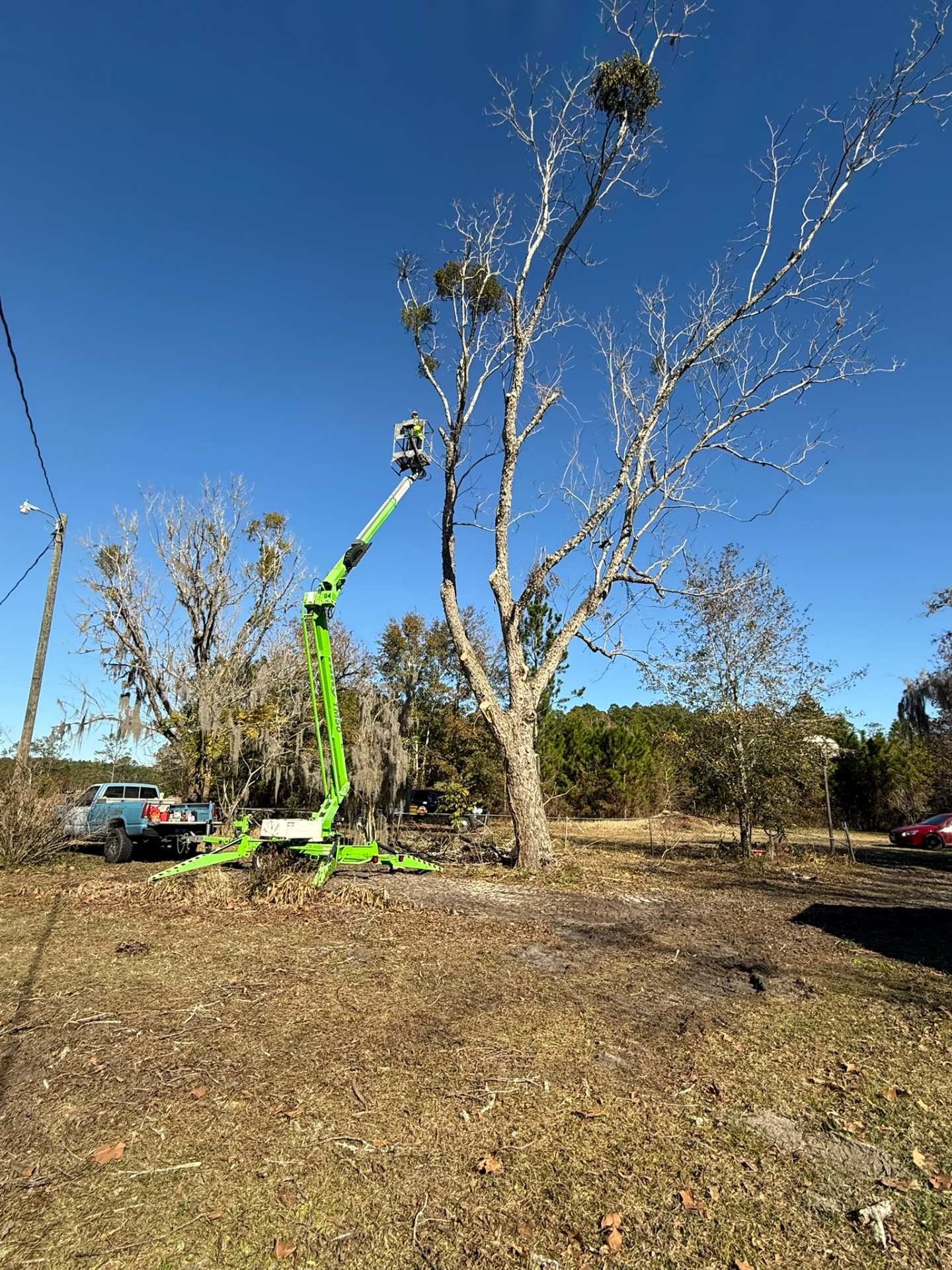 Florida property cleared by forestry mulching — sample 21