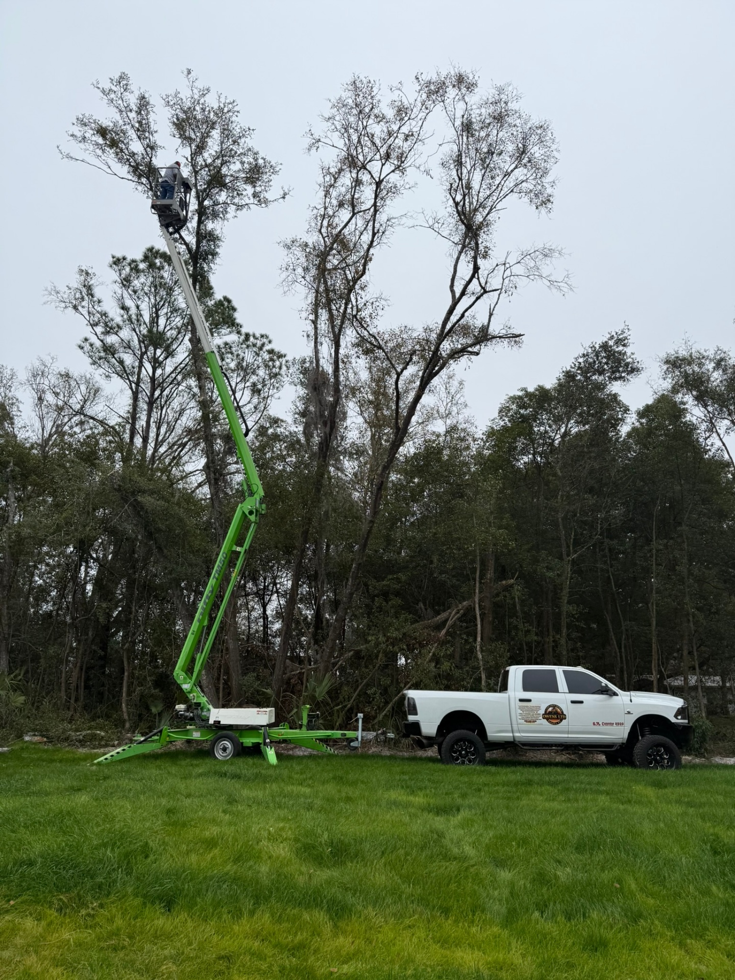 Florida property cleared by forestry mulching — sample 5
