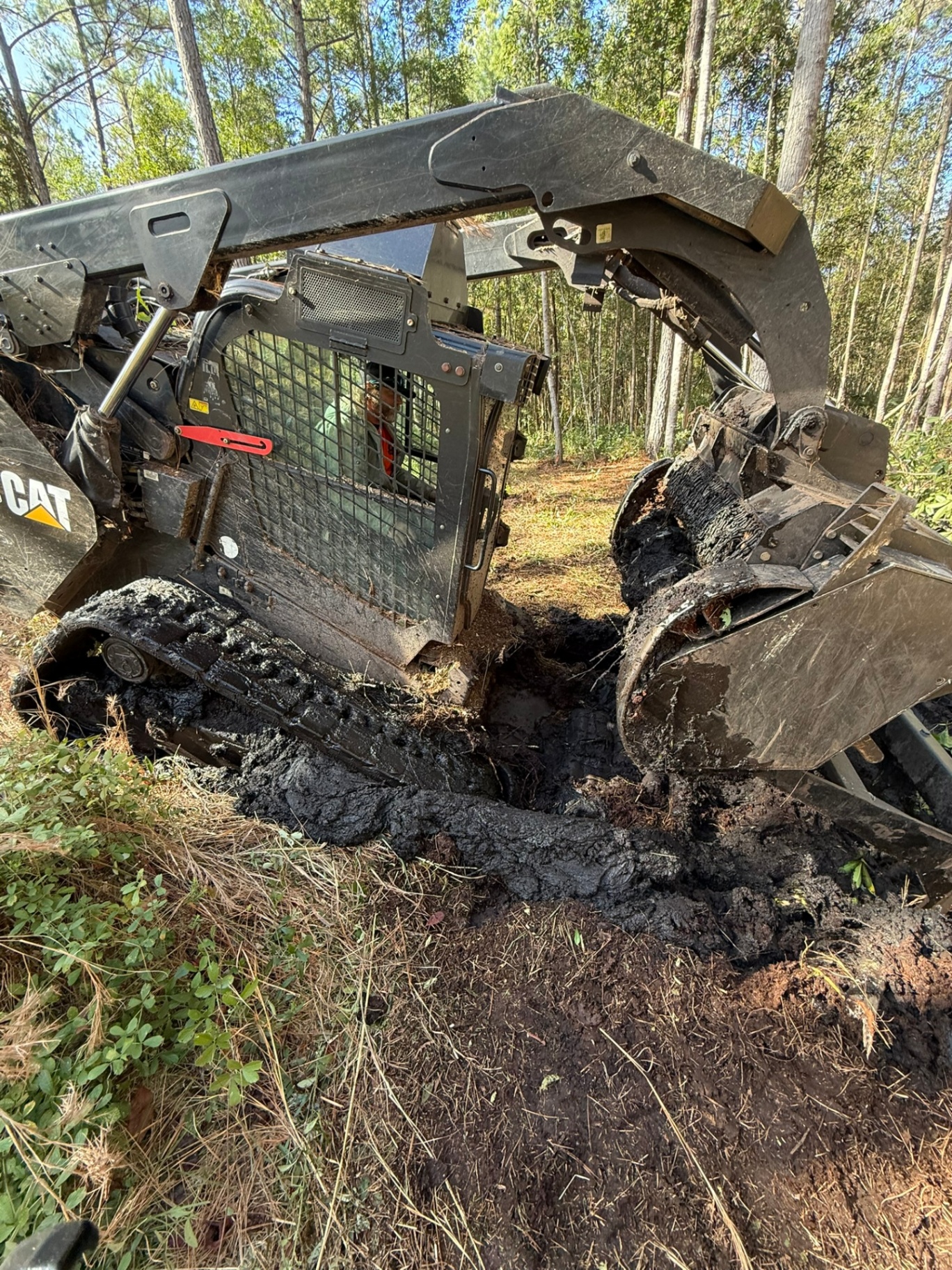 Florida property cleared by forestry mulching — sample 8