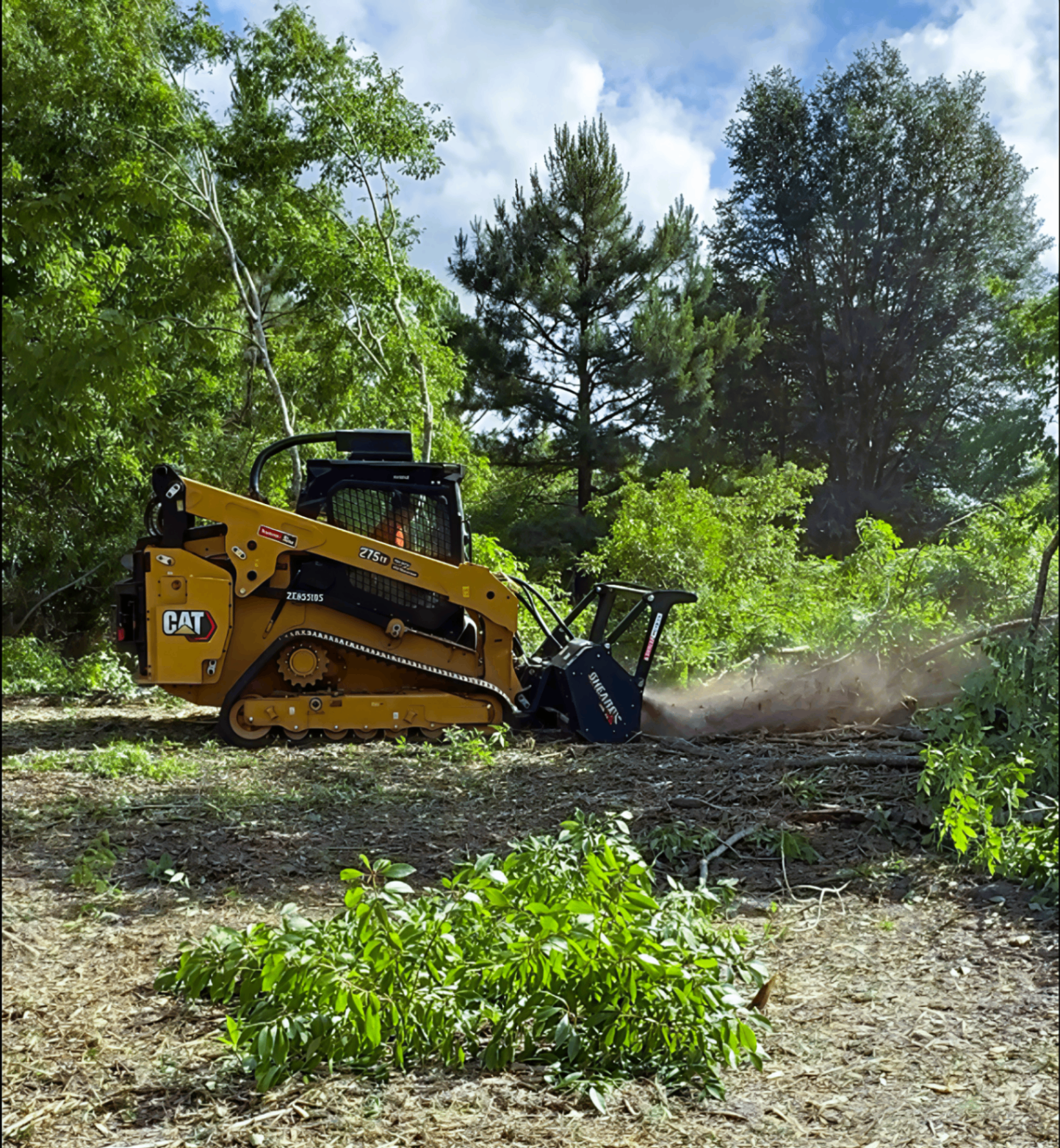 Florida property cleared by forestry mulching — sample 17
