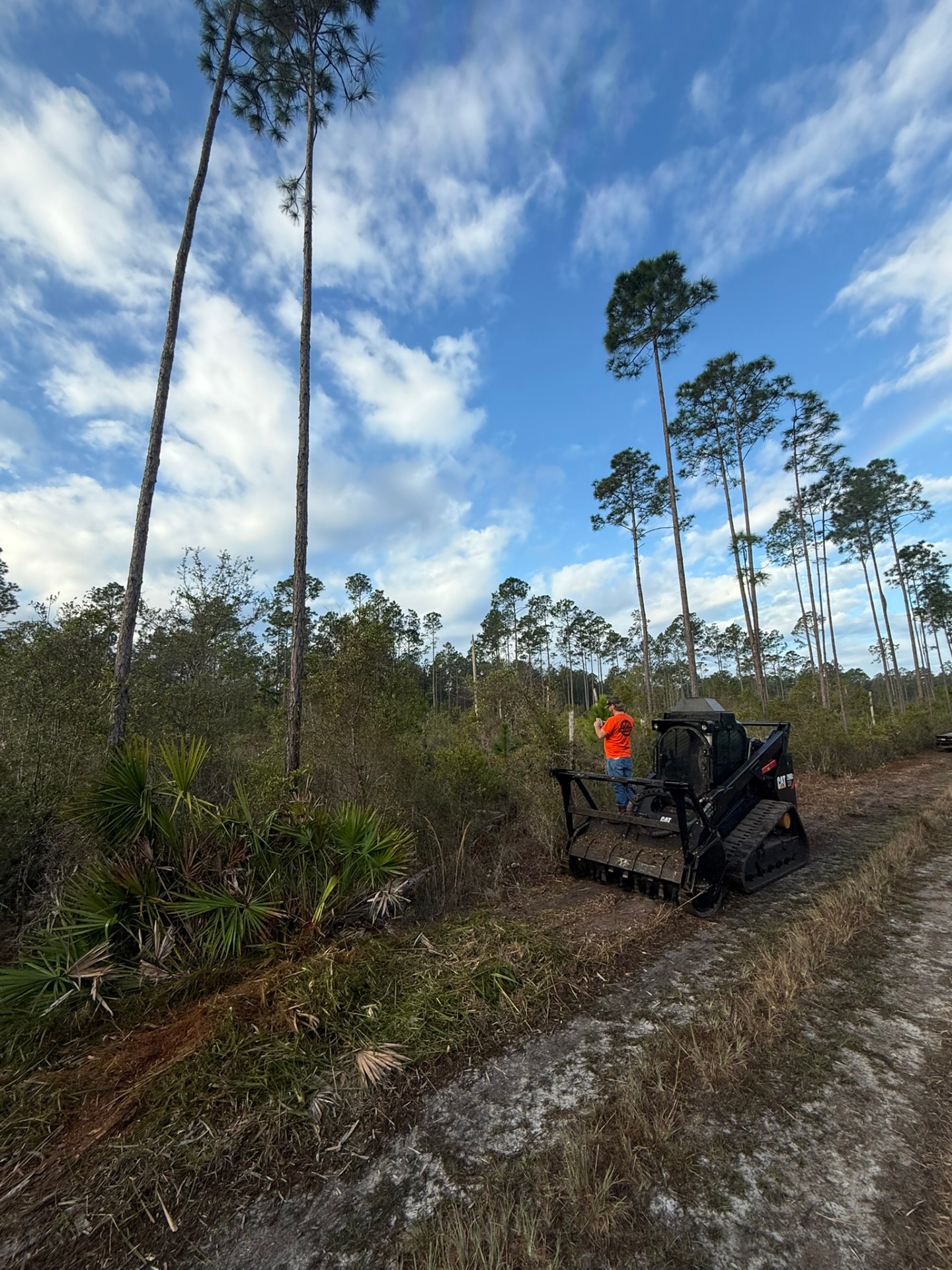 Florida property cleared by forestry mulching — sample 23