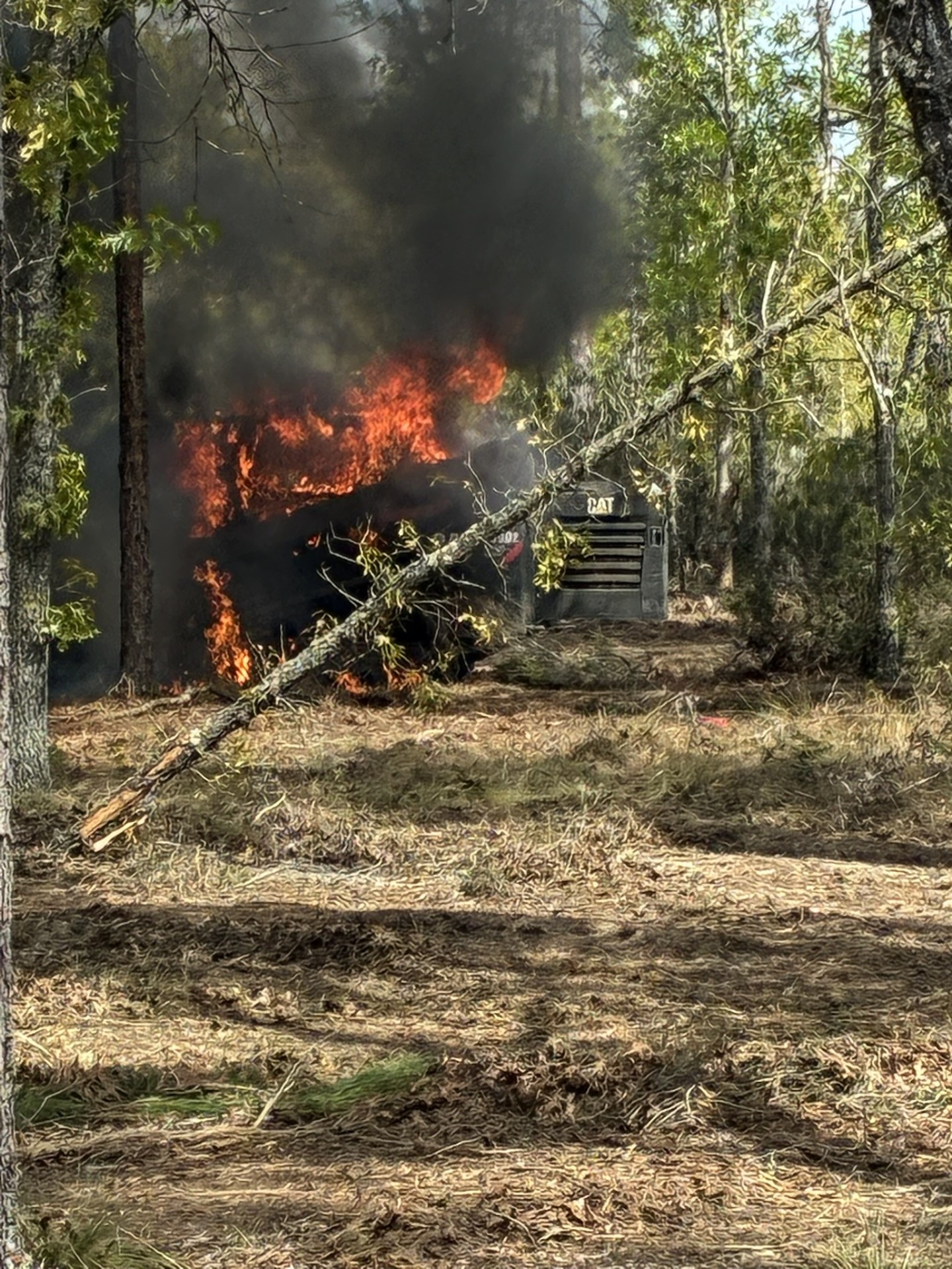 Florida property cleared by forestry mulching — sample 20