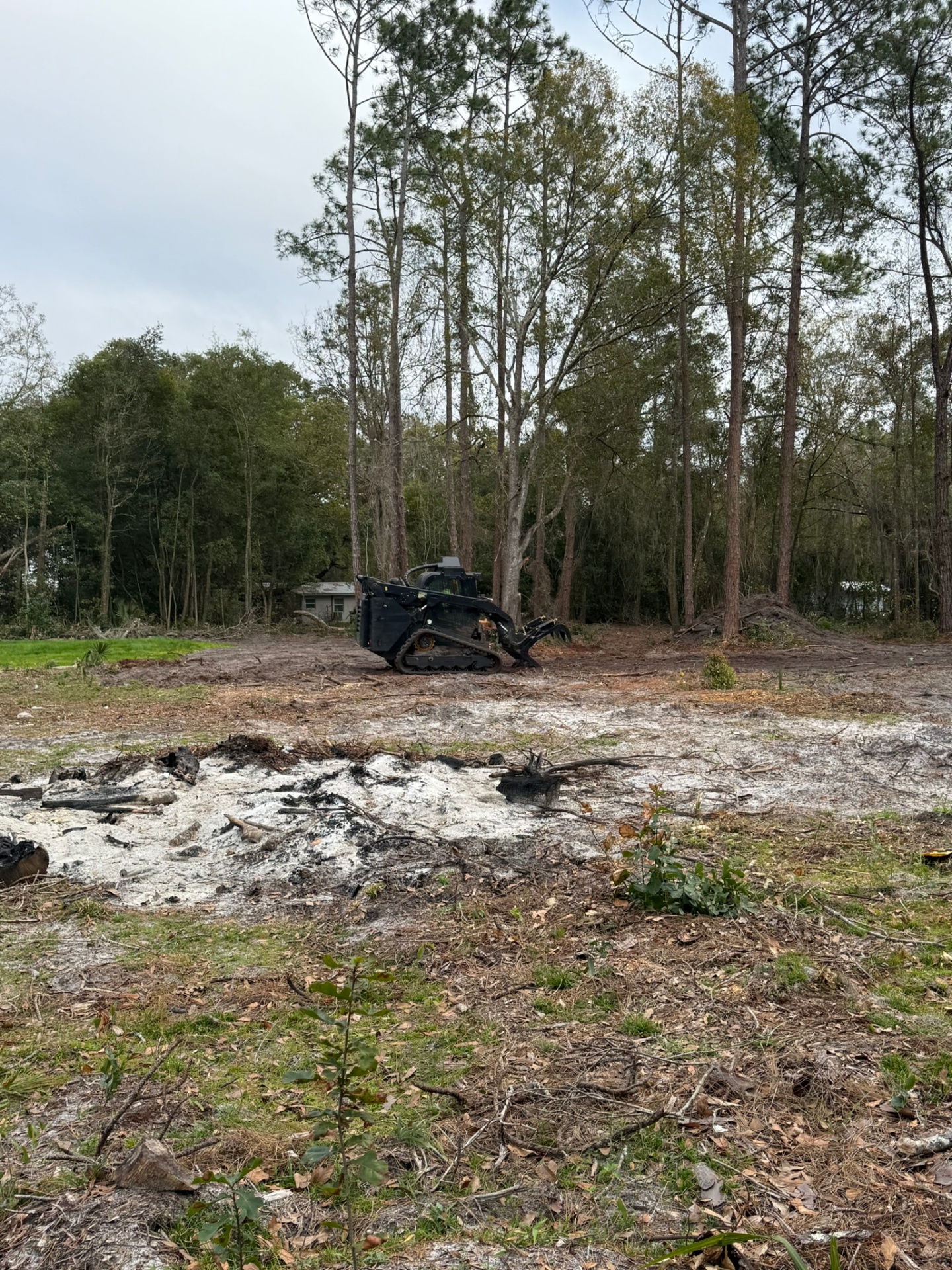 Florida property cleared by forestry mulching — sample 22