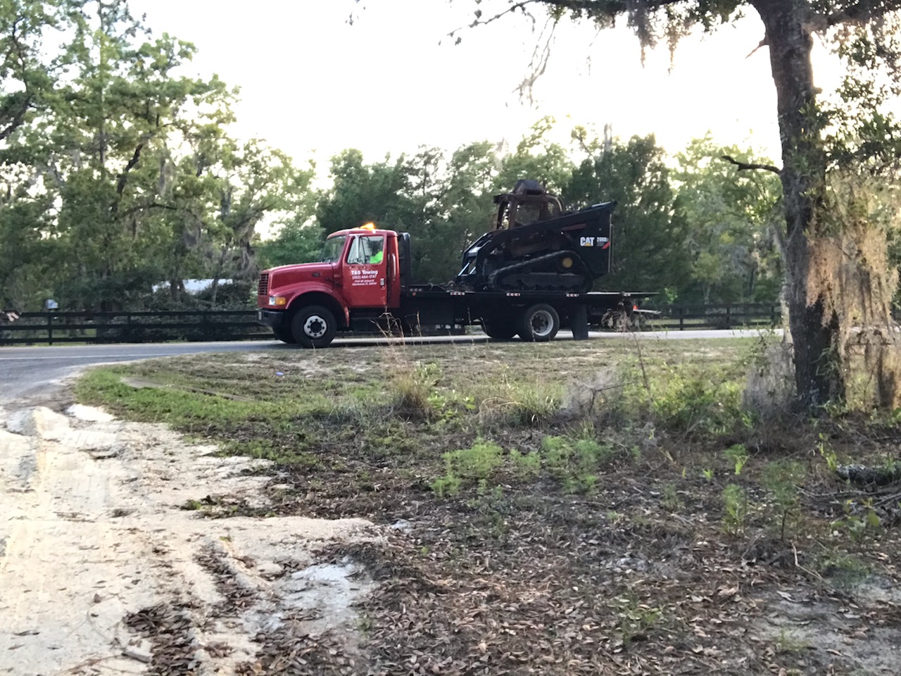 Florida property cleared by forestry mulching — sample 13