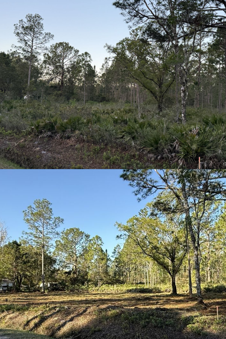 Before and after forestry mulching project 1
