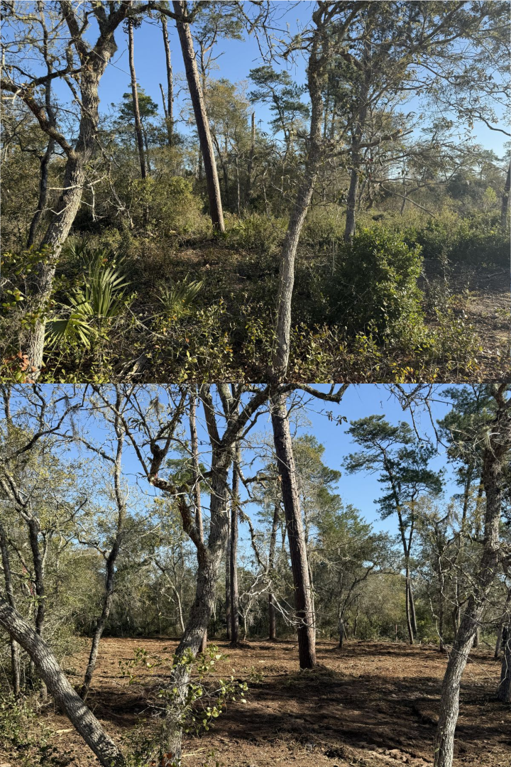 Before and after forestry mulching project 3