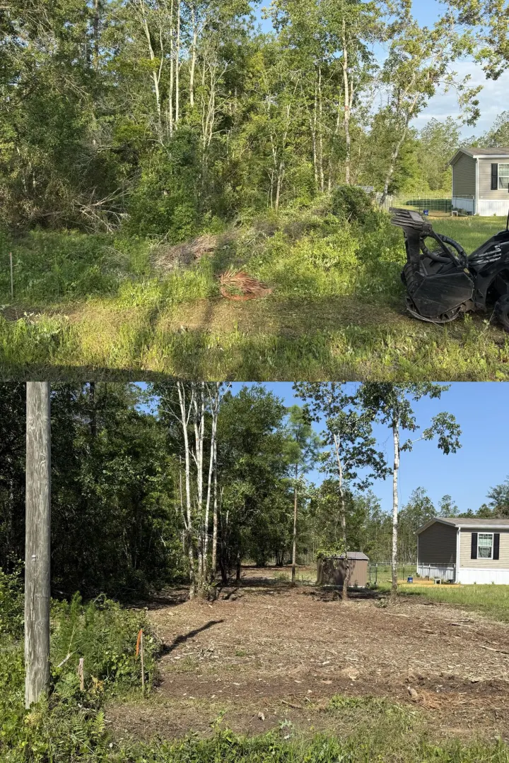 Before and after forestry mulching project 5