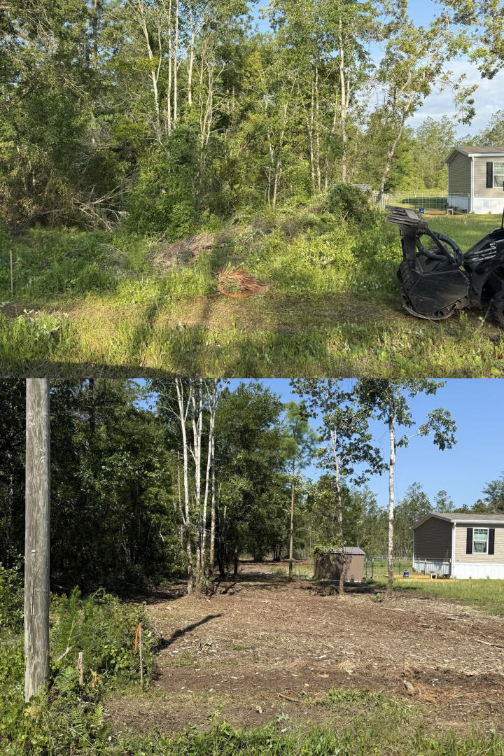 Before and after forestry mulching project 5
