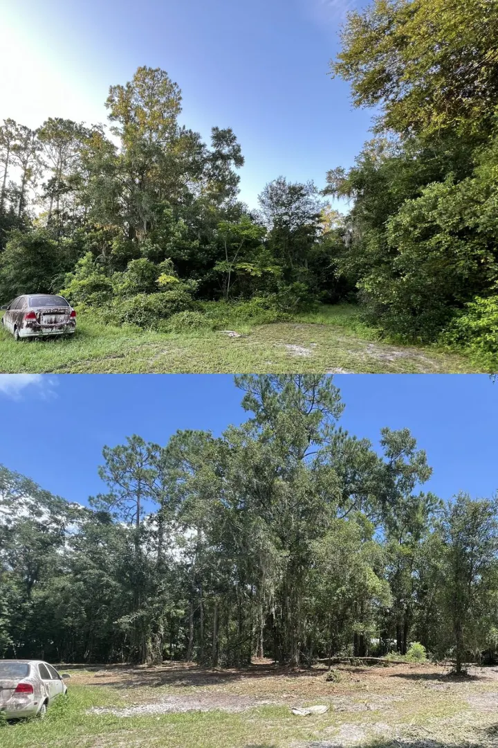 Before and after forestry mulching project 6