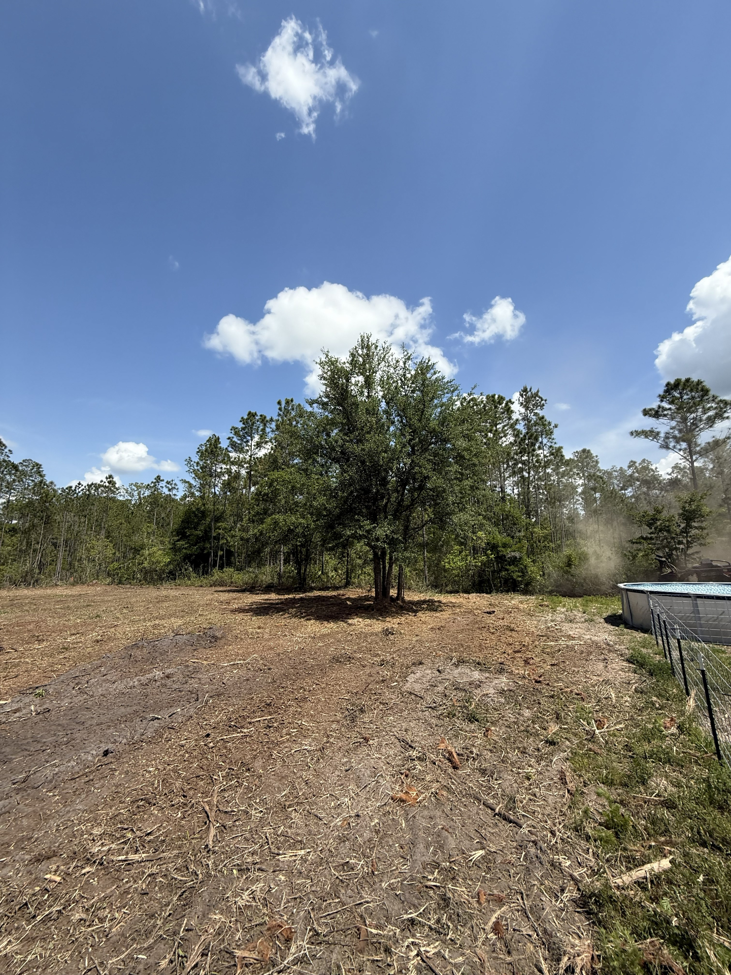 Backyard & Property Clearing