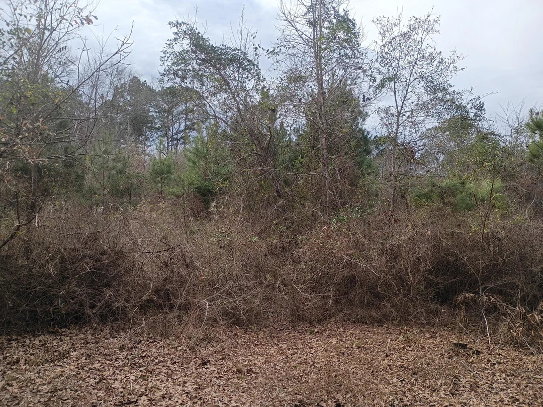 Fire Mitigation & Fuel Reduction