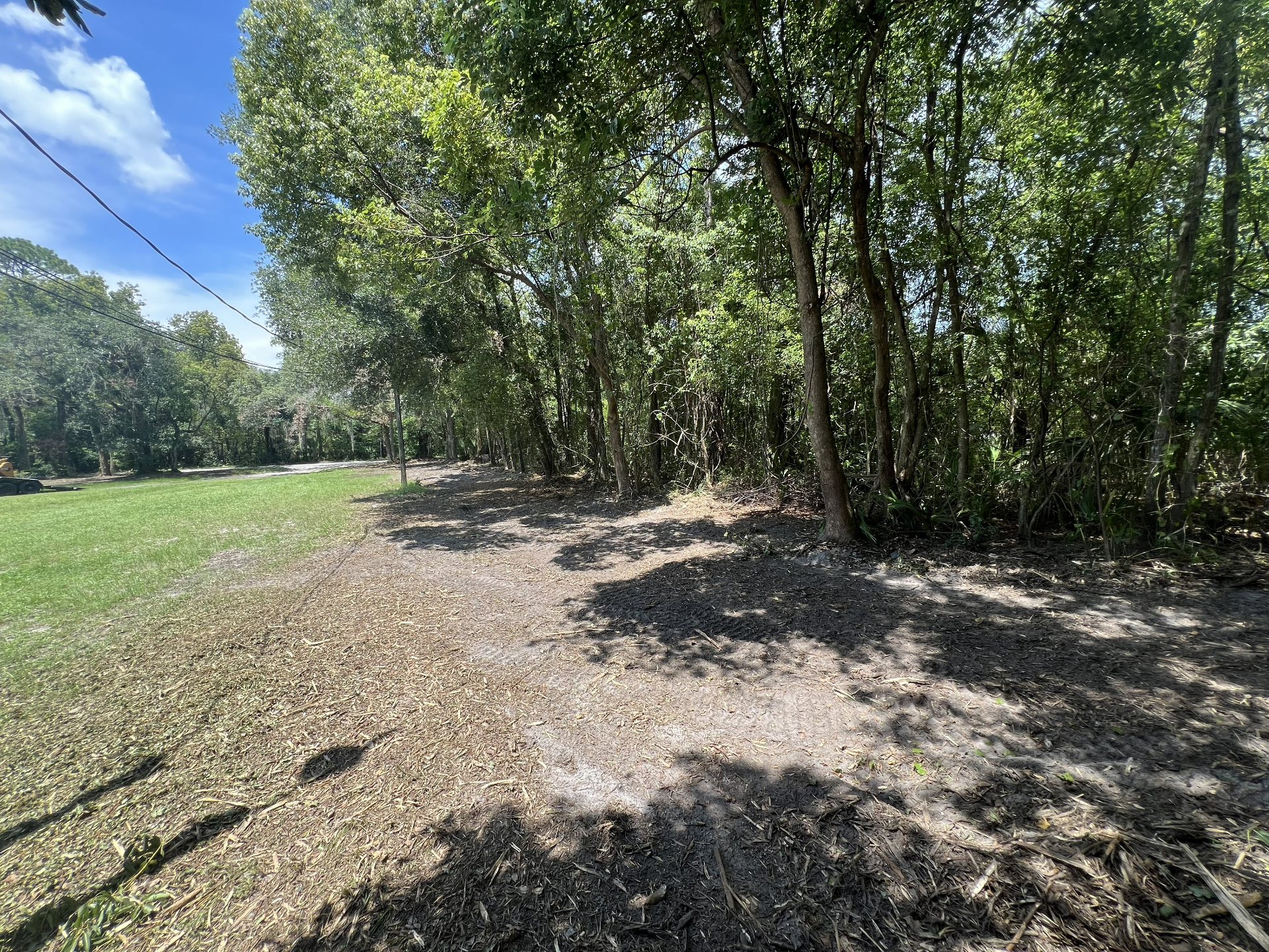 Fence Line Clearing