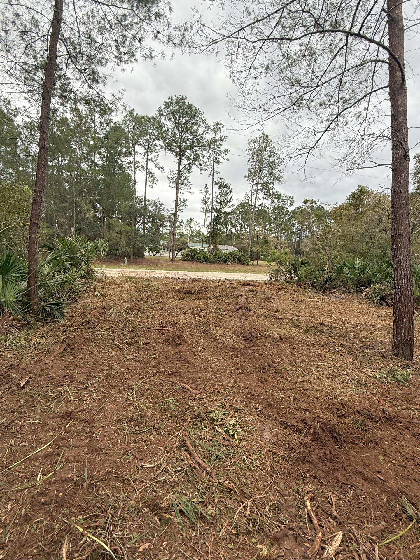 Trail, Road & Access Clearing